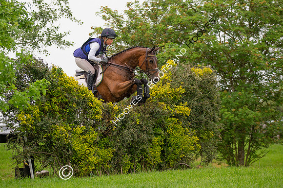 Childeric Saddles Little Downham (1),
