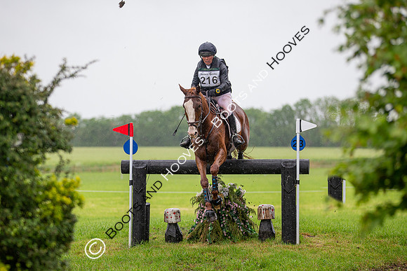 Childeric Saddles Little Downham (1),