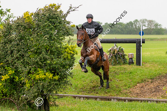 Childeric Saddles Little Downham (1),
