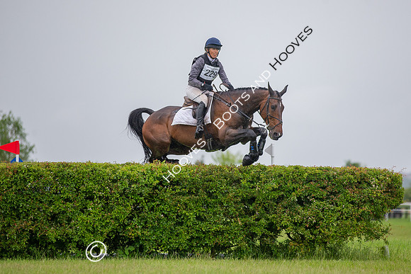 Childeric Saddles Little Downham (1),