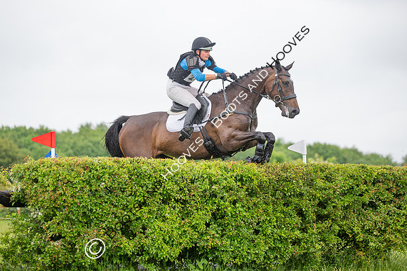 Childeric Saddles Little Downham (1),