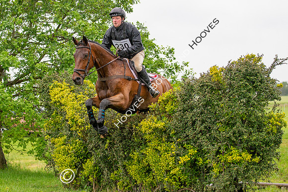 Childeric Saddles Little Downham (1),