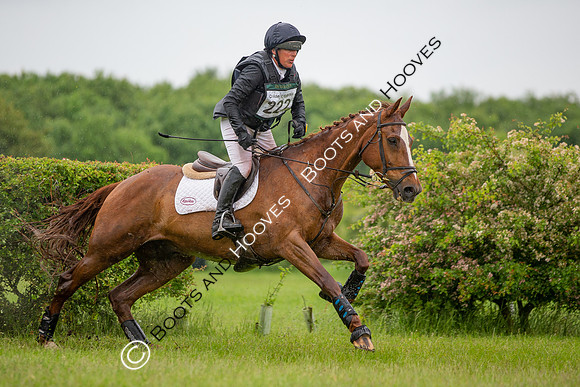 Childeric Saddles Little Downham (1),