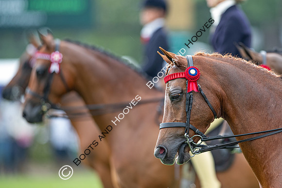 The Prenetics Royal International Horse Show