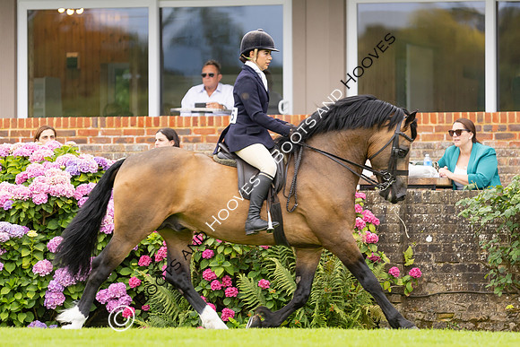 The Agria Royal International Horse Show