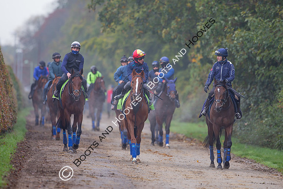 Newmarket