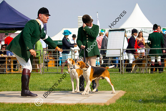 Festival of Hunting