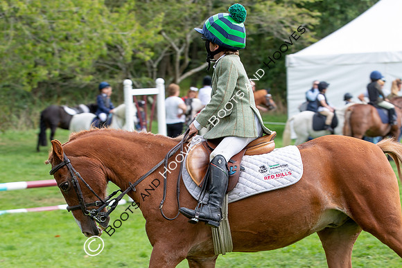 Science Supplements All England Jumping Championships