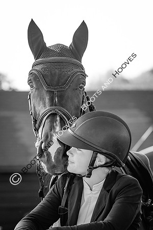 The Al Shira'aa British Young Horse Championships