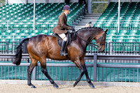 Royal Windsor Horse Show