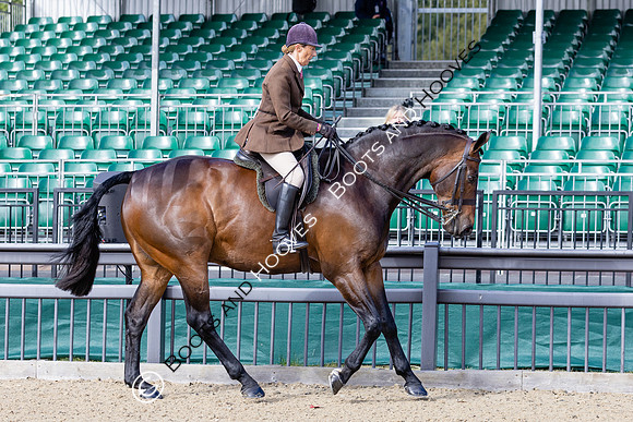 Royal Windsor Horse Show