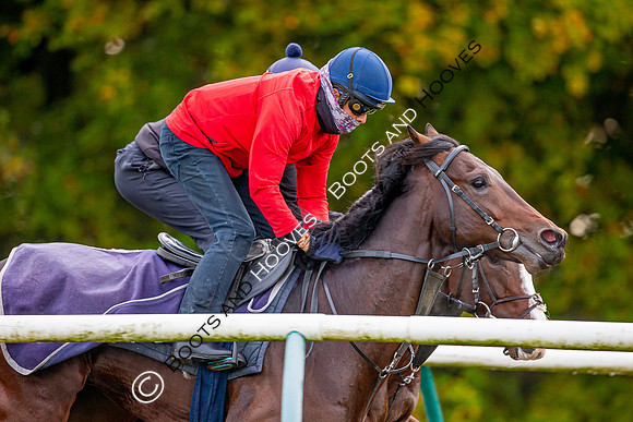 Newmarket