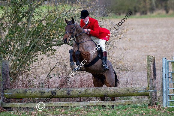 East Essex Hunt. Ladies Day. 29/01/2019 ~ MANDATORY Credit Elli Birch/Bootsandhooves - NO UNAUTHORISED USE - 07745 909676