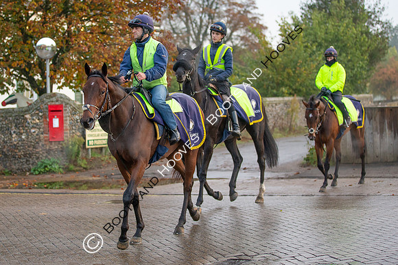 Newmarket