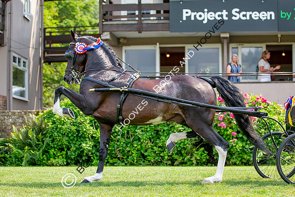 The Prenetics Royal International Horse Show