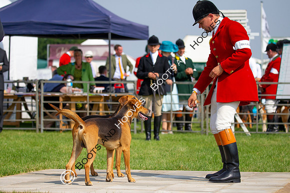Festival of Hunting