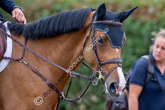 Science Supplements All England Jumping Championships