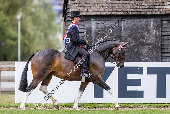 The Royal International Horse Show
