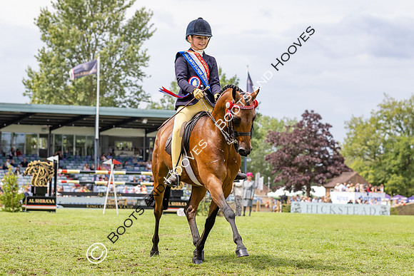 The Agria Royal International Horse Show