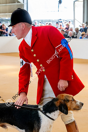 Festival of Hunting