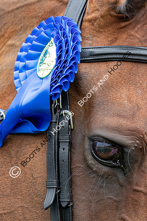 The Prenetics Royal International Horse Show