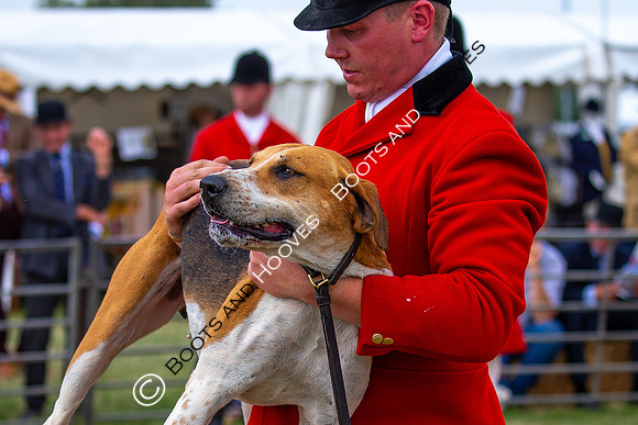 Festival of Hunting
