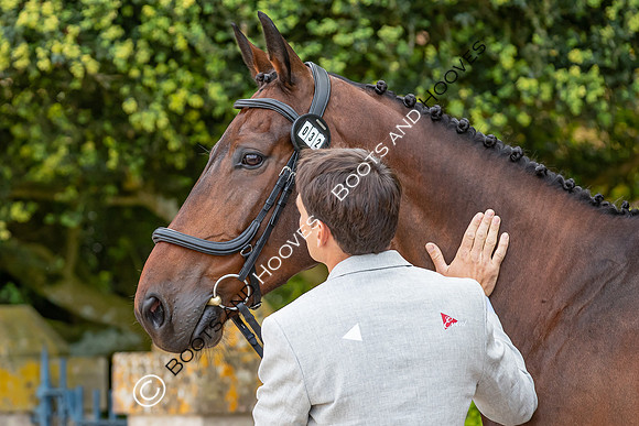 Badminton Horse Trials