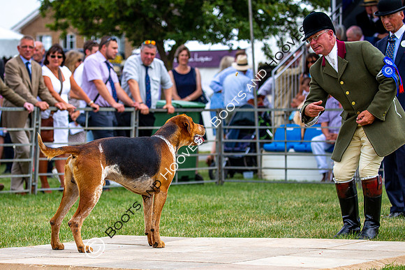 Festival of Hunting