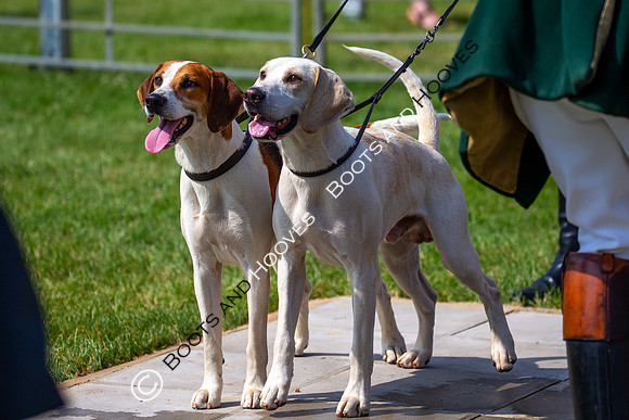 Festival of Hunting