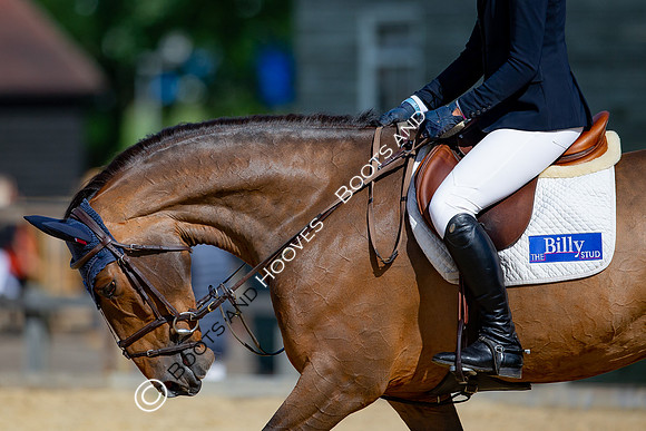 The Al Shira'aa Jumping Championships