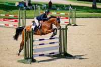 The Al Shira'aa Jumping Championships