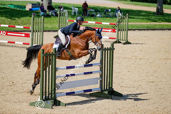 The Al Shira'aa Jumping Championships