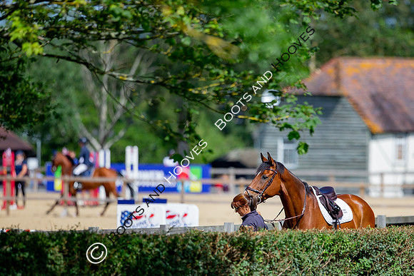 The Al Shira'aa Jumping Championships