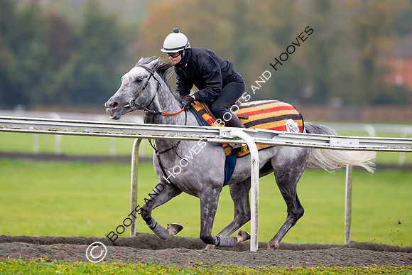Newmarket