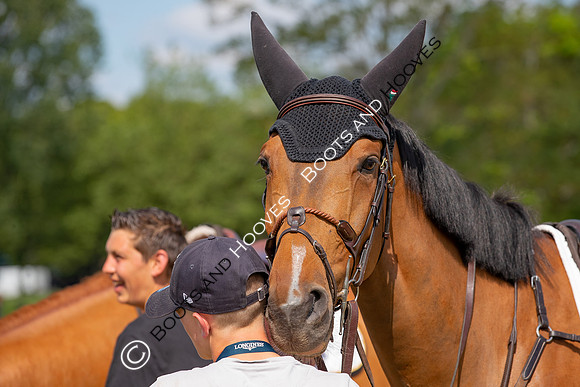 The Al Shira'aa Jumping Championships