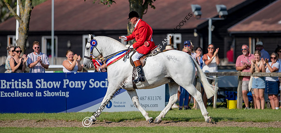 The Prenetics Royal International Horse Show