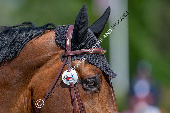 The Al Shira'aa Jumping Championships
