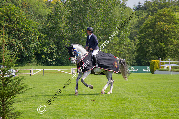 The Al Shira'aa Jumping Championships