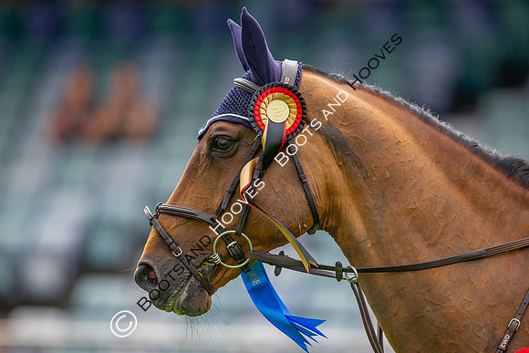 The Al Shira'aa Jumping Championships