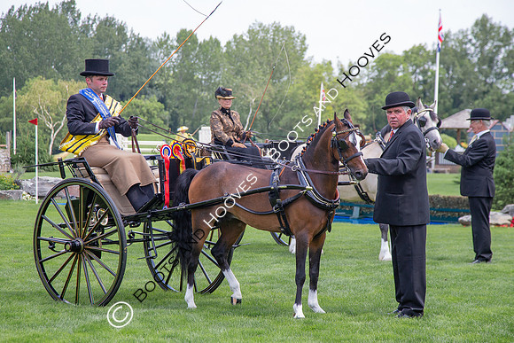 The Al Shira'aa Jumping Championships
