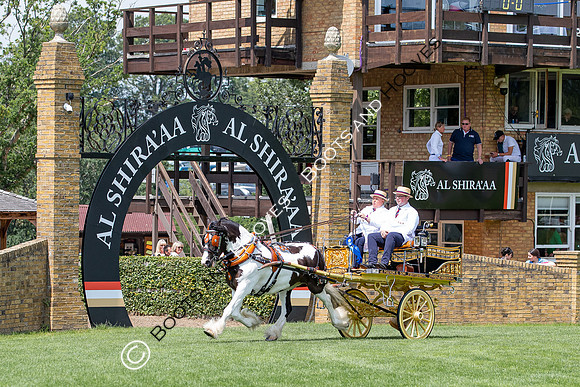 The Al Shira'aa Jumping Championships