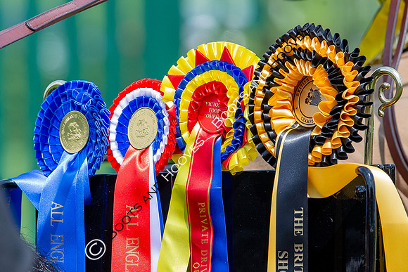 The Al Shira'aa Jumping Championships