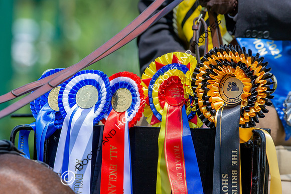 The Al Shira'aa Jumping Championships