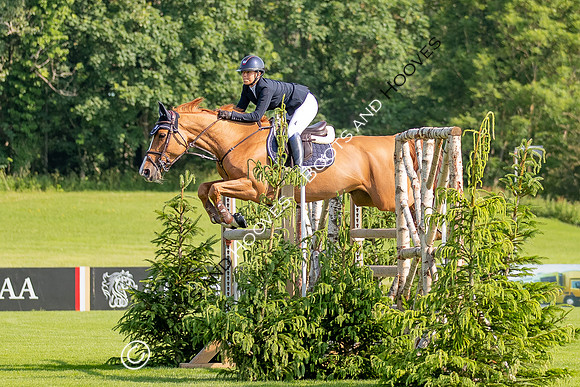 The Al Shira'aa Jumping Championships