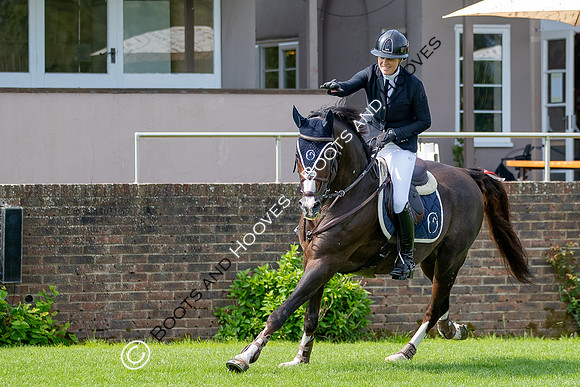 The Al Shira'aa Jumping Championships