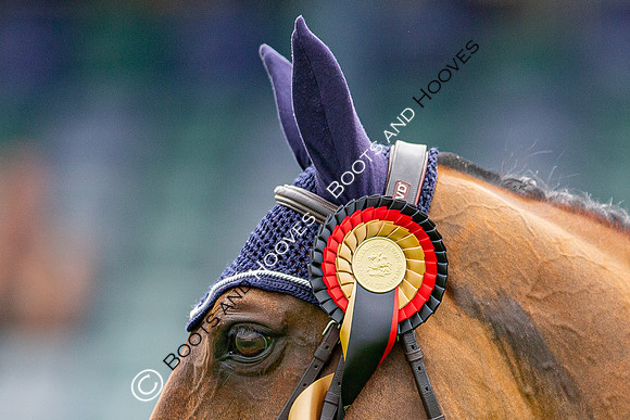 The Al Shira'aa Jumping Championships