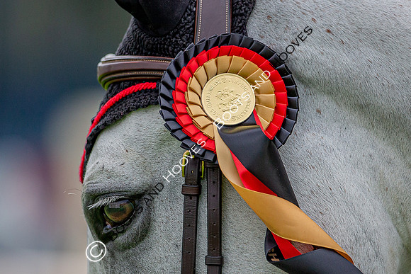 The Al Shira'aa Jumping Championships