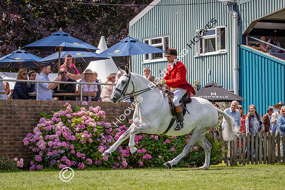 The AGRIA Royal International Horse Show