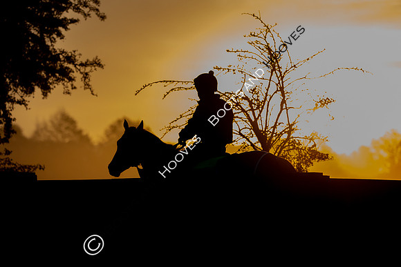 Newmarket