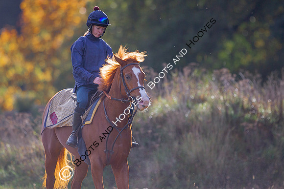 Newmarket